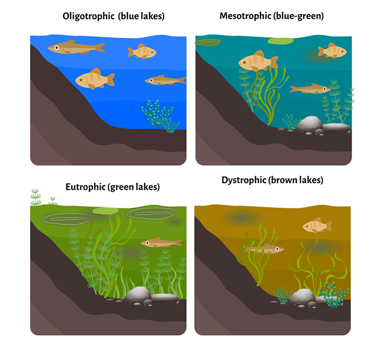 wa-types-of lakes.png